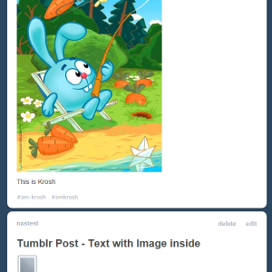 Tumblr: “Text” post vs “Image” Post